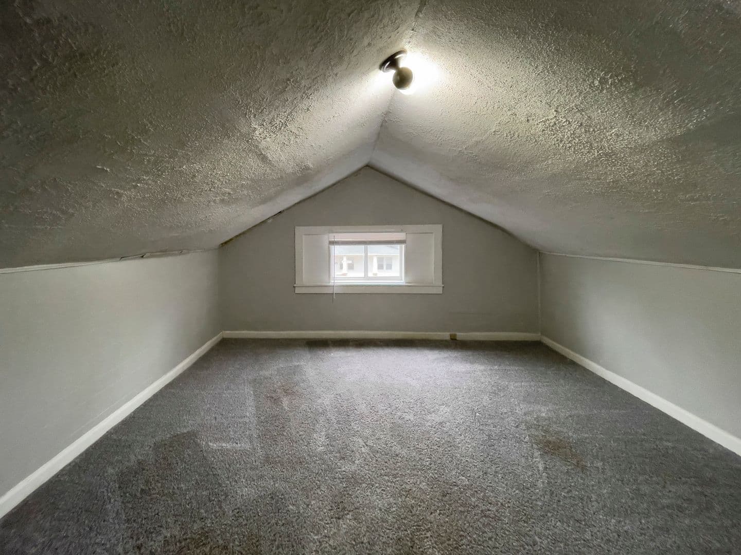 328 &amp; 328 1/2 S Talley Ave (Cardinal Rentals, LLC) 16 of 16