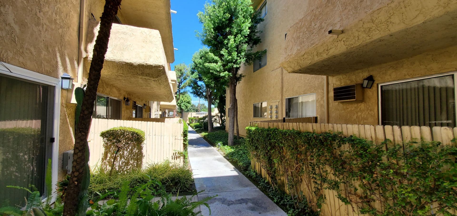 CASA COLIMA APARTMENTS 20 of 21