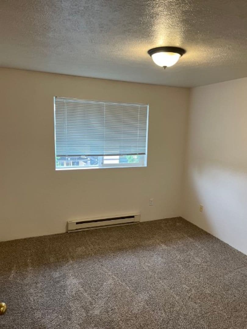 Beautiful 2 Bed 2 Bath Apartment - FIRST MONTH FREE!! 13 of 23