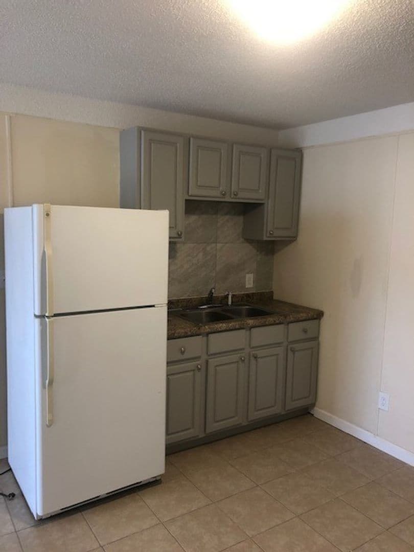 Recently Renovated 2 Bedroom 1 Bath Apartments for Rent! 8 of 9