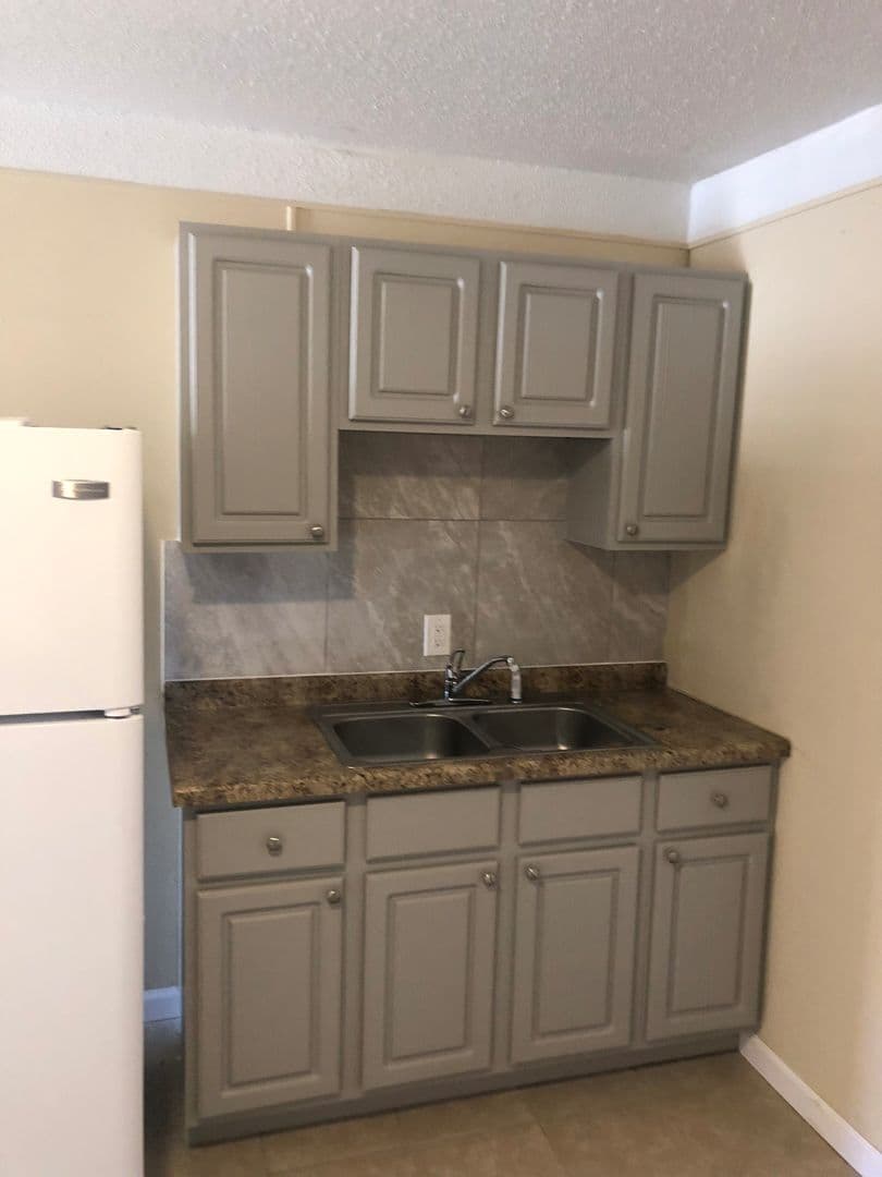 Recently Renovated 2 Bedroom 1 Bath Apartments for Rent! 3 of 9