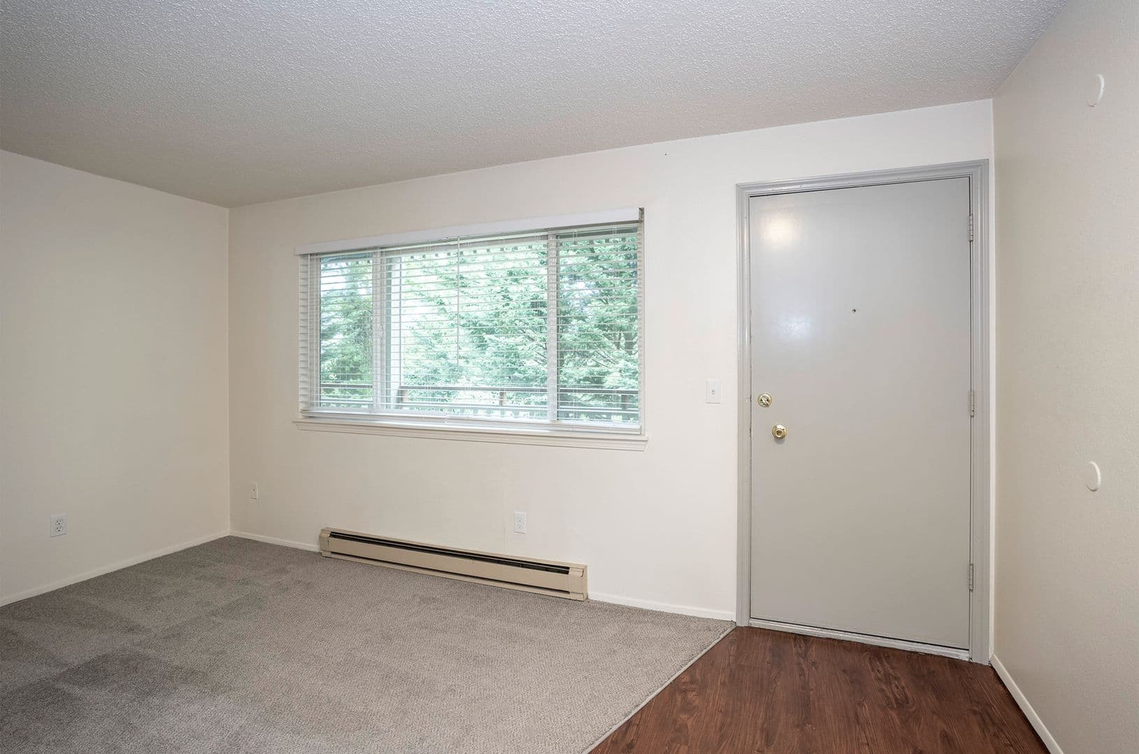 Cedar Pointe Apartments - 811 4 of 19
