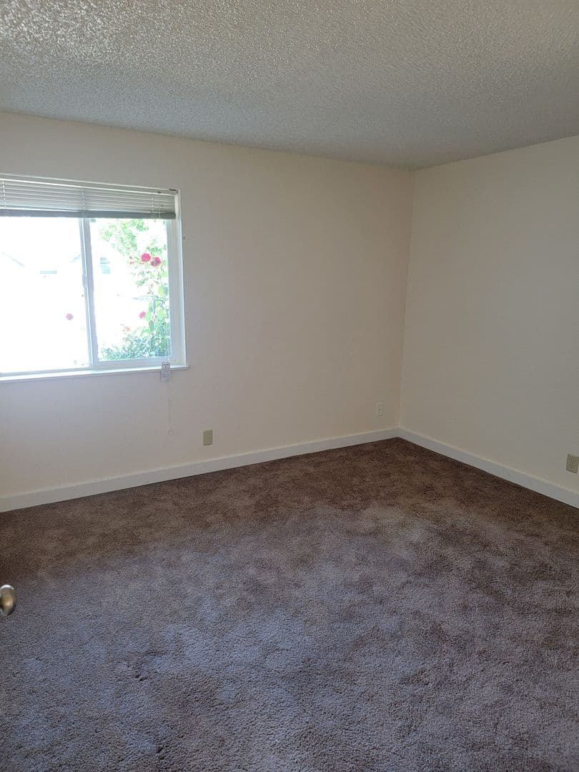 #251 PINE CREST APARTMENTS 4 of 8