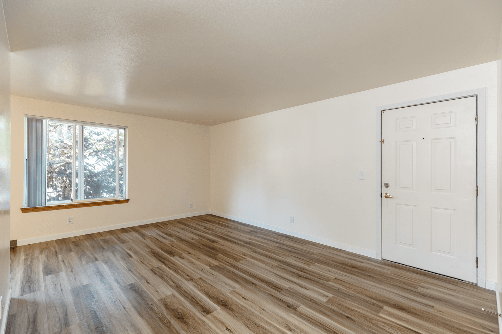#161 TRILLIUM SQUARE APARTMENTS 6 of 20