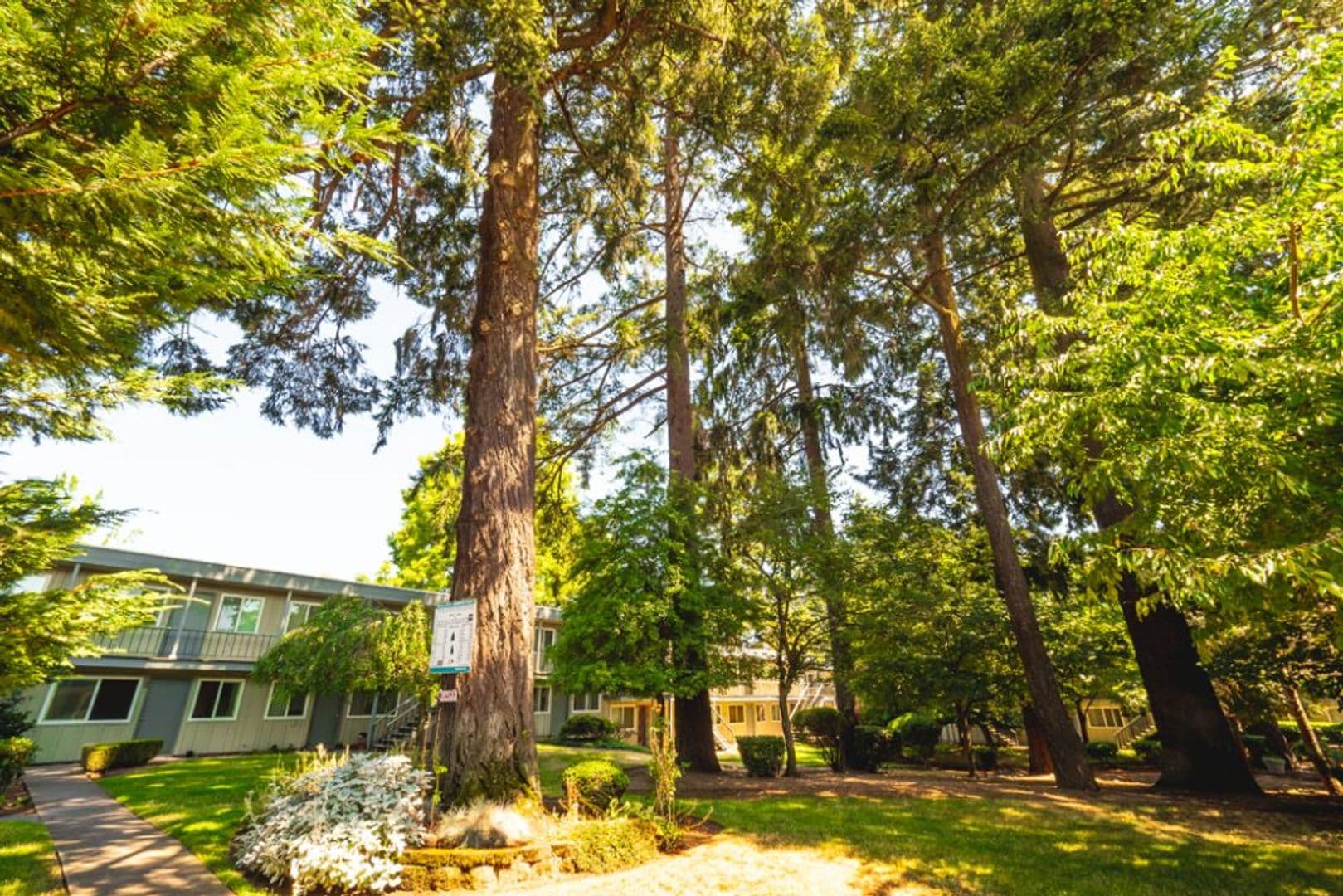 #276 MISTY FIRS APARTMENTS 10 of 20