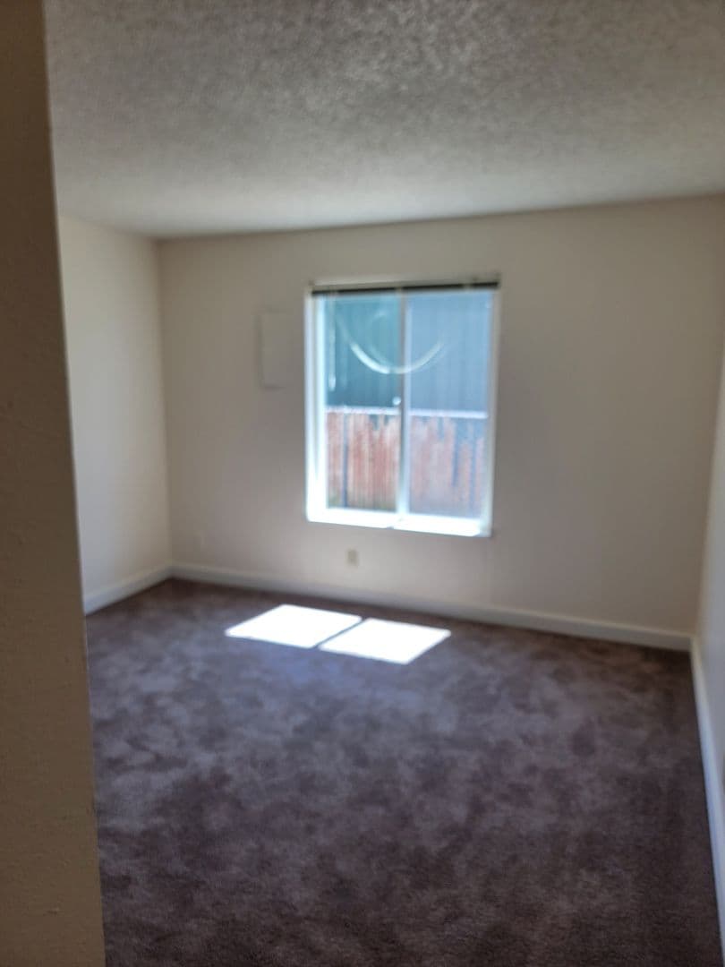 #251 PINE CREST APARTMENTS 3 of 8