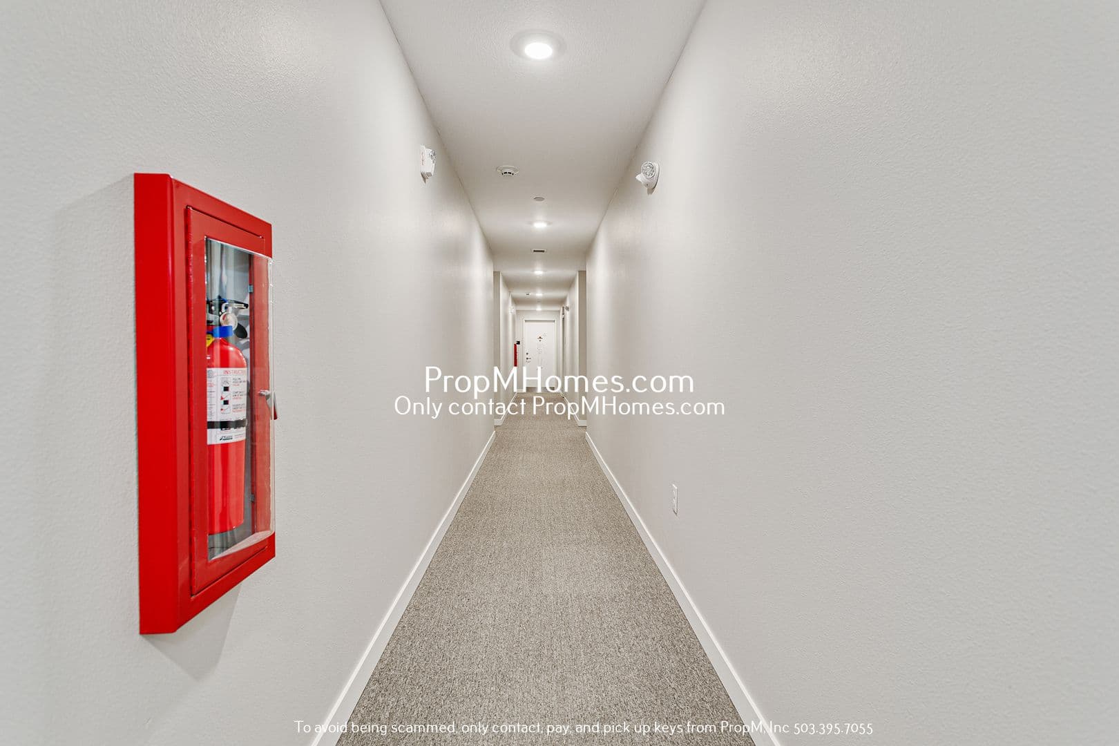 Bright & Stylish 2BR Apartment in SE Portland! 13 of 14