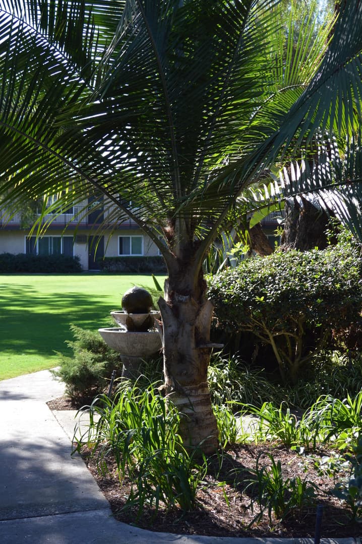 Rancho Monterey Apartments 11 of 13