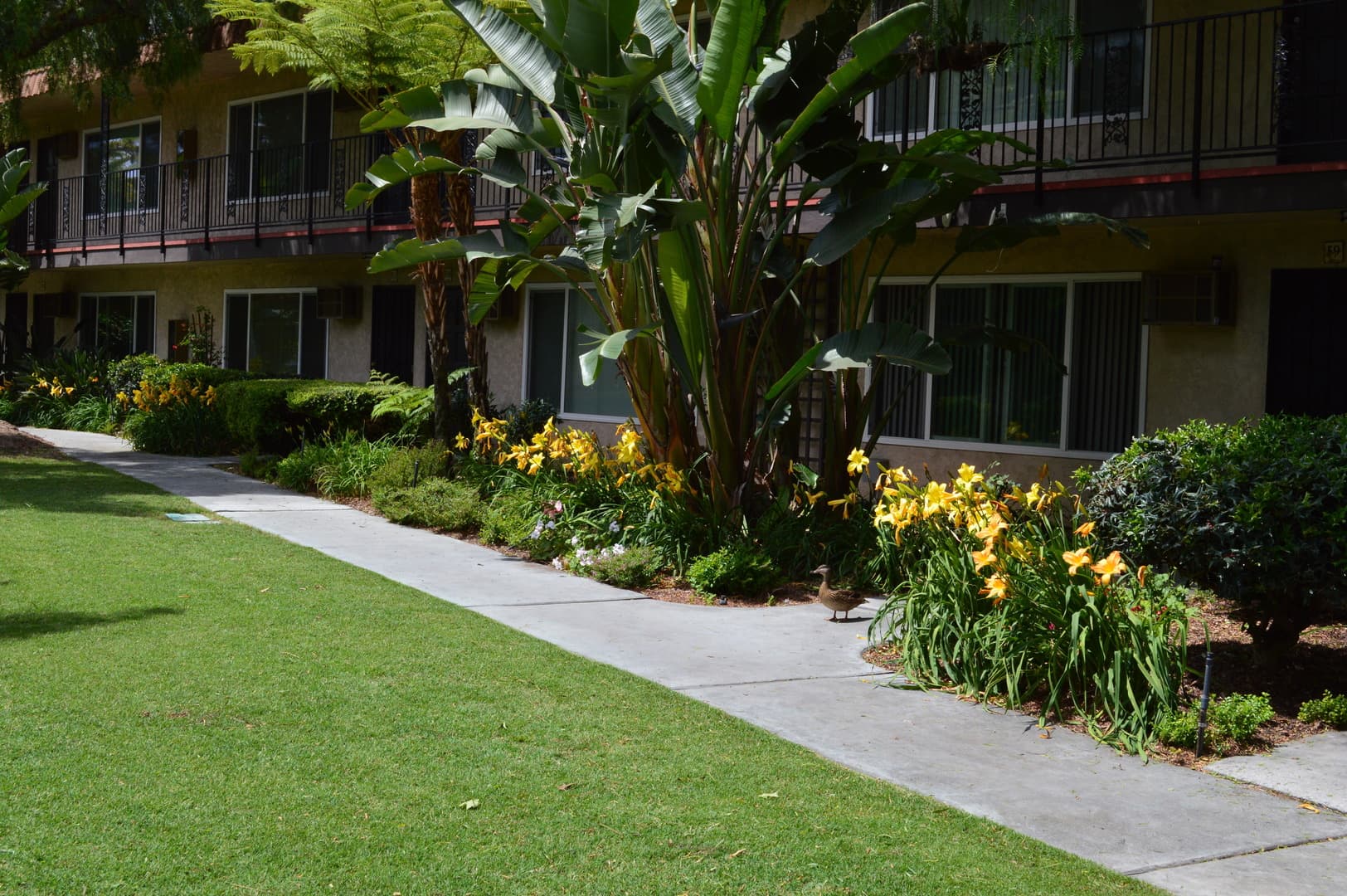 Rancho Monterey Apartments 9 of 12