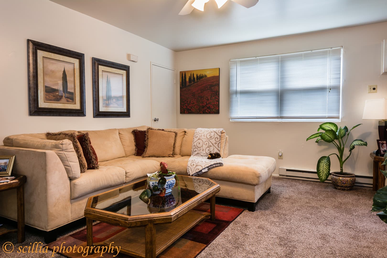 Avante Apartments 6 of 7