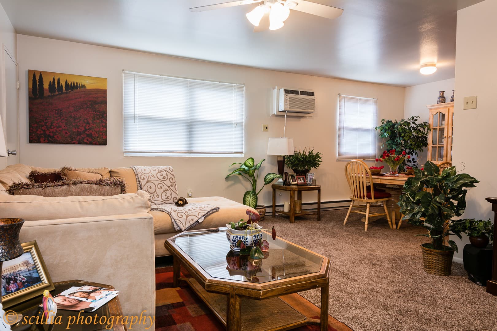Avante Apartments 7 of 7