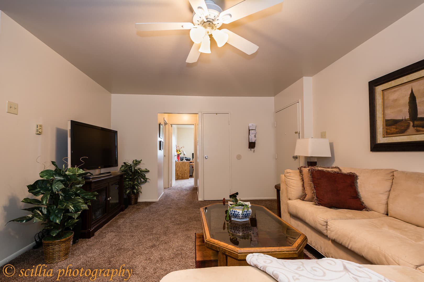 Avante Apartments 1 of 7