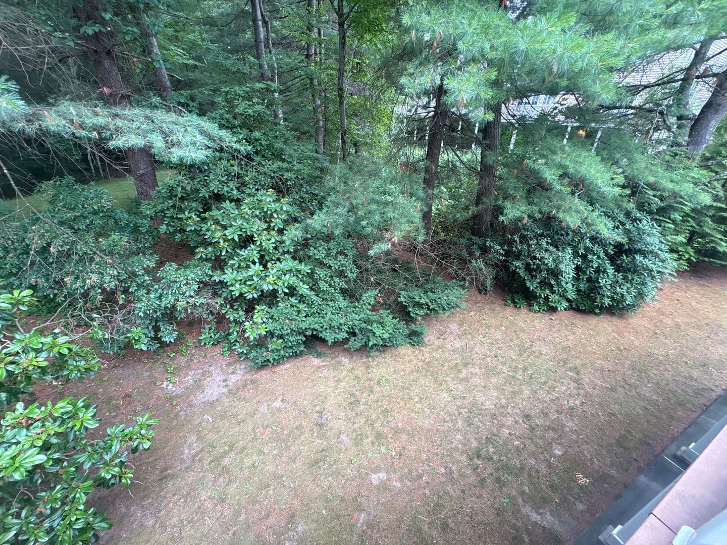 401 Browning Lane 14 of 31