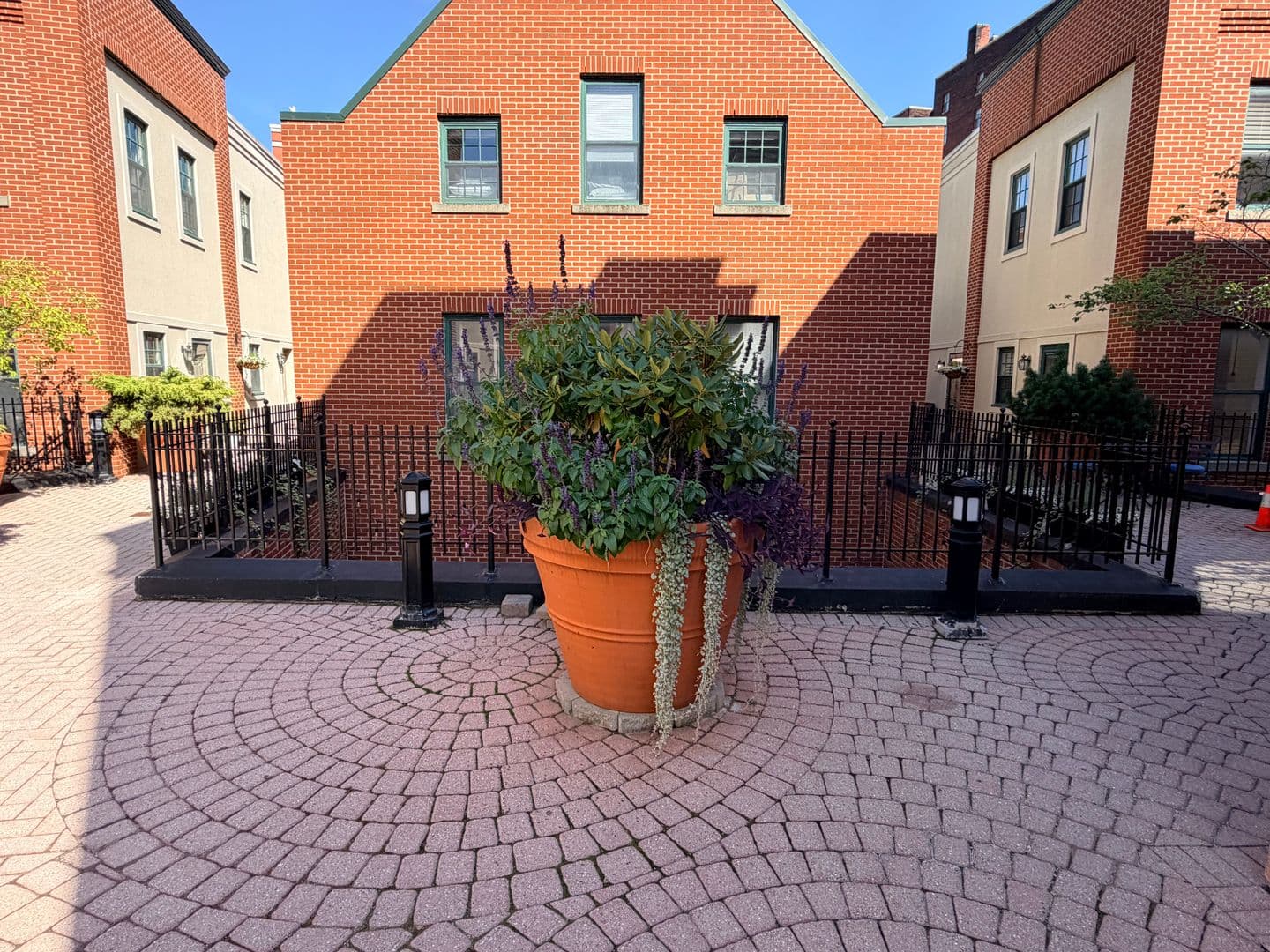 133 Walton Street Unit 130 6 of 19