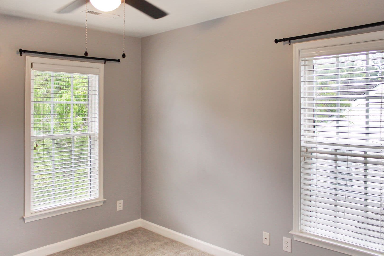 Bristlecone Ln 1054 17 of 22