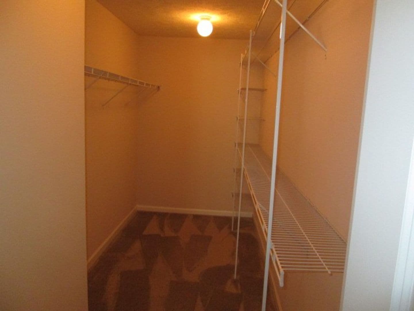 Hillsborough Pointe Apartments 6 of 9