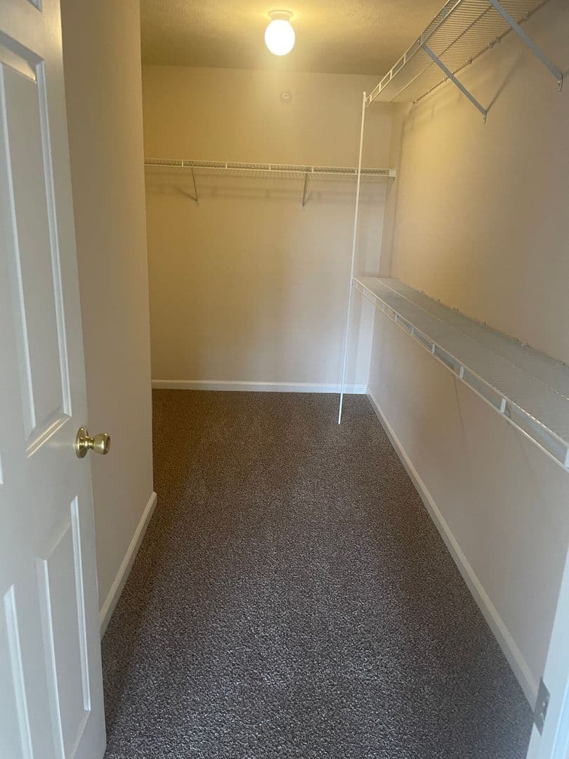 Hillsborough Pointe Apartments 3 of 10