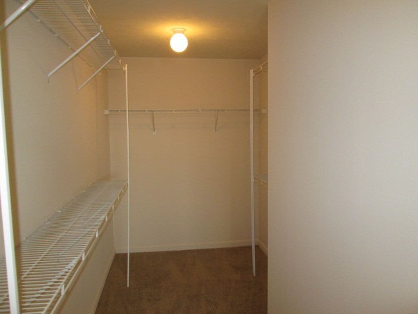 Hillsborough Pointe Apartments 9 of 12