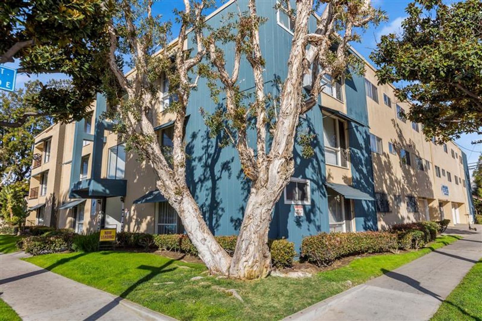FREE RENT FOR 1 MONTH - applied to market rent 24 of 25