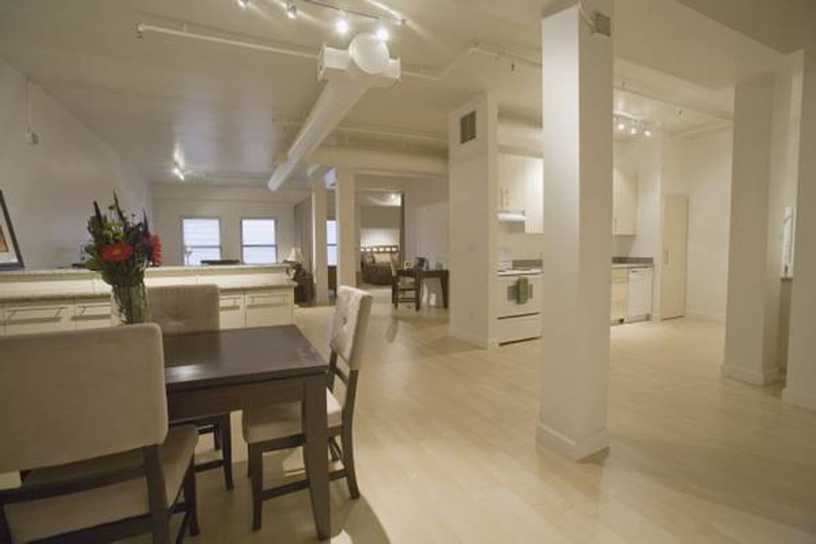 Viridian Lofts 1 of 16