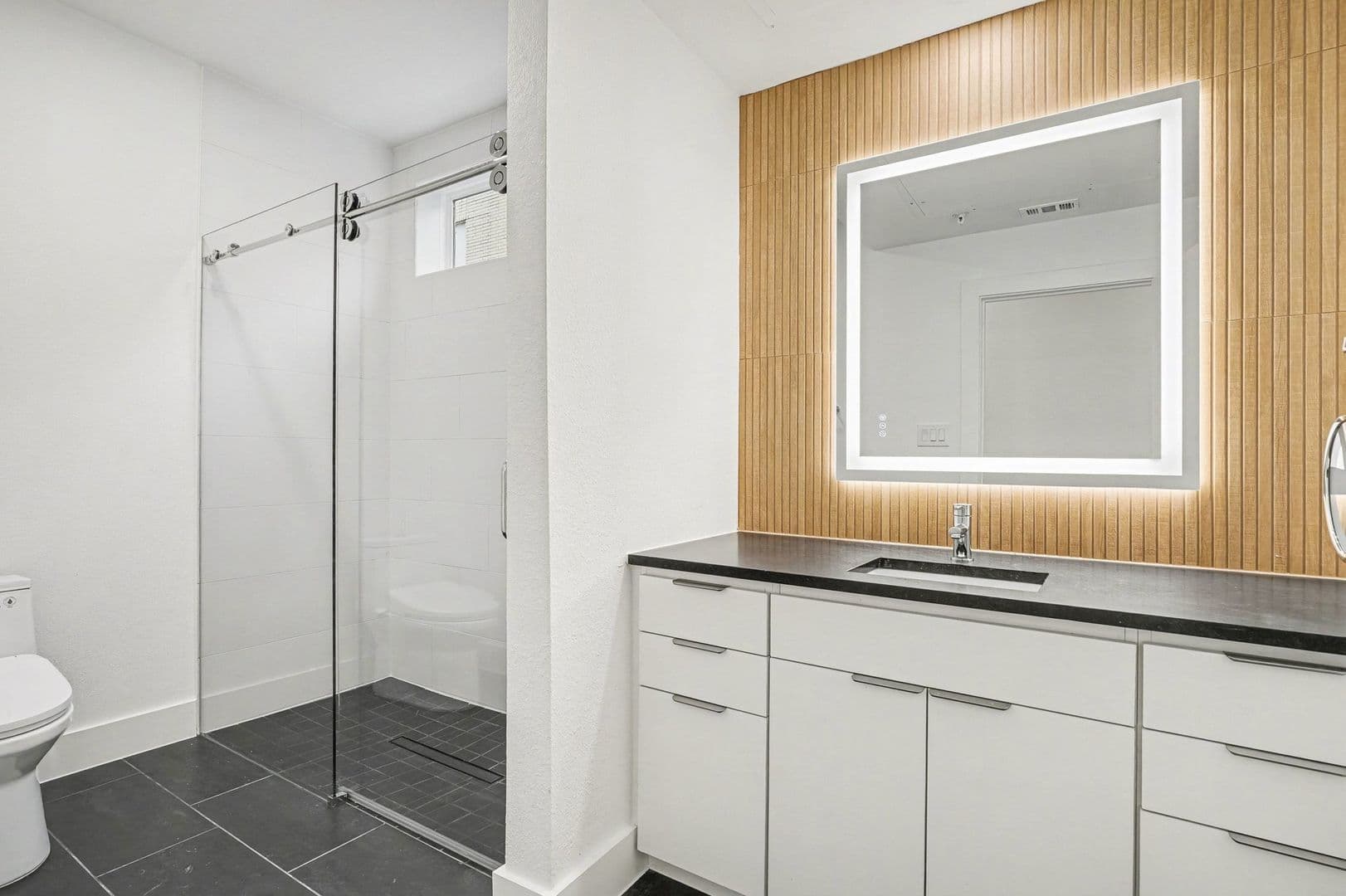 2217 N Fitzhugh Avenue #101 33 of 55