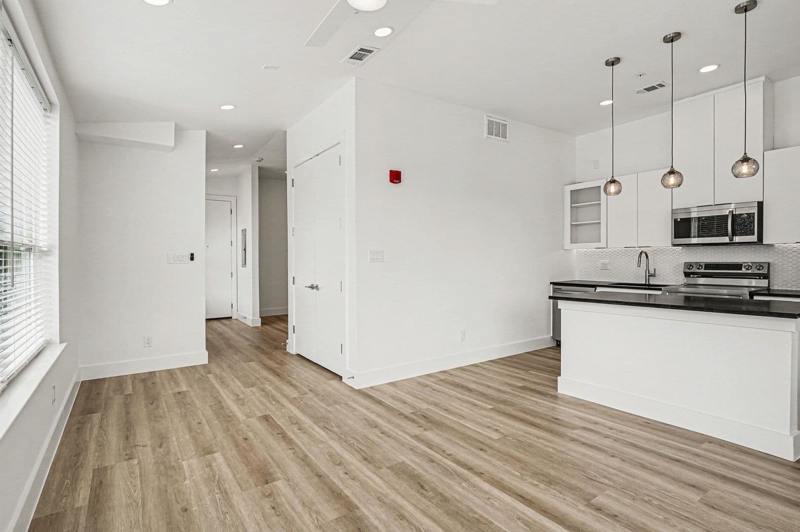 2217 N Fitzhugh Avenue #101 19 of 44