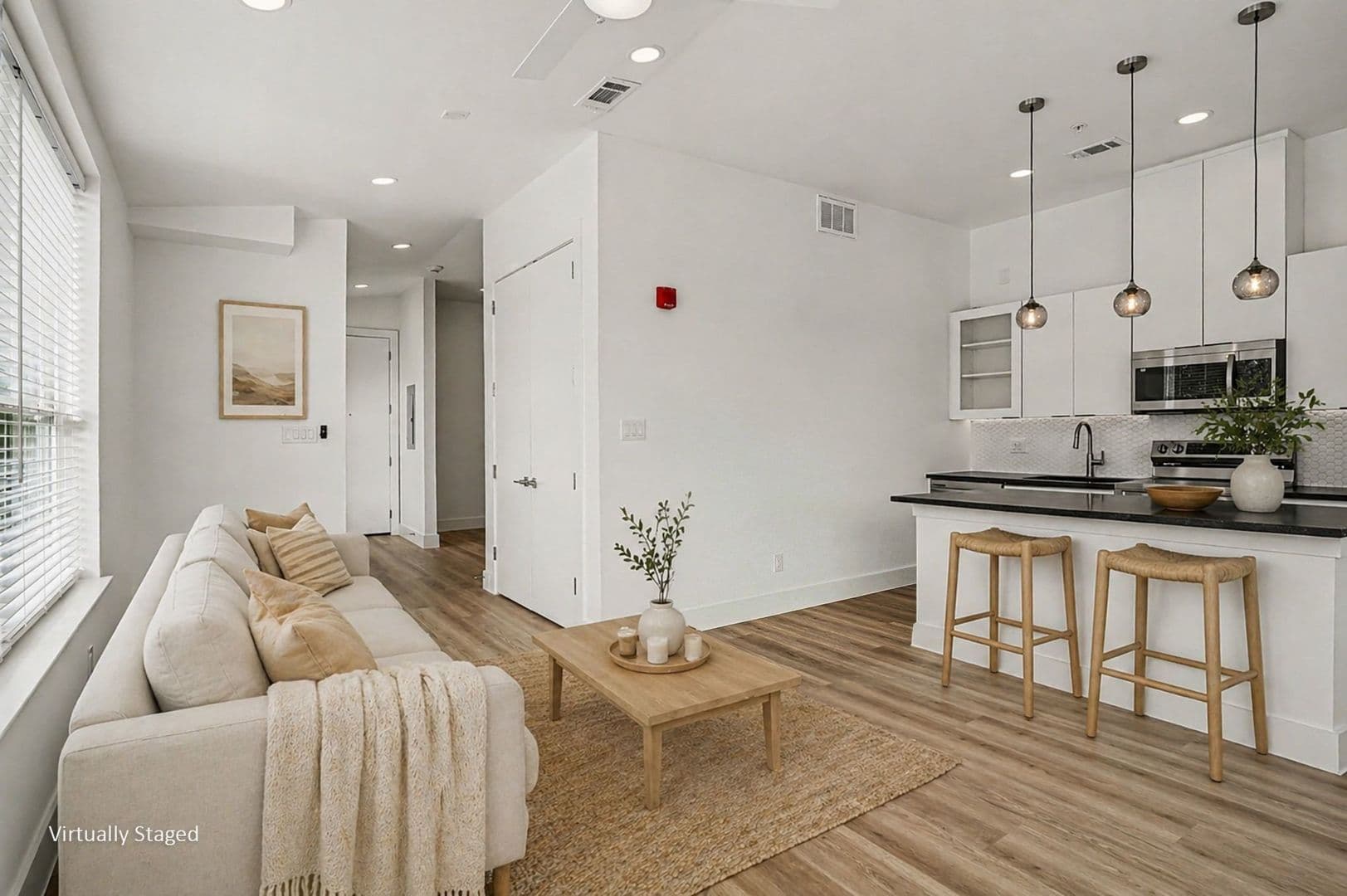 2217 N Fitzhugh Avenue #101 6 of 44