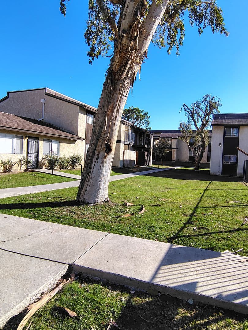 College View Apartments 13 of 44