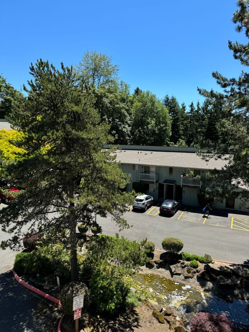 533 - Roxclif Court 11 of 16