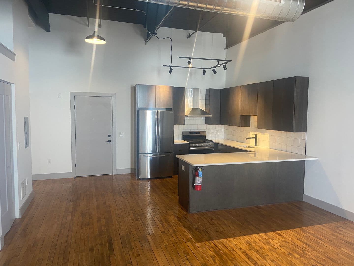 Laros Lofts - Residential 1 of 10