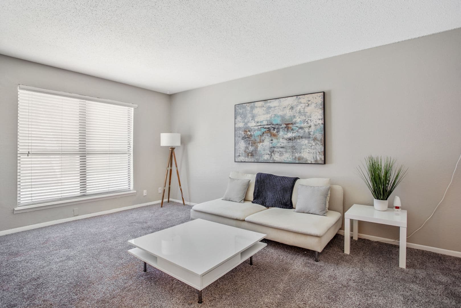 Radius Apartments 1 of 16
