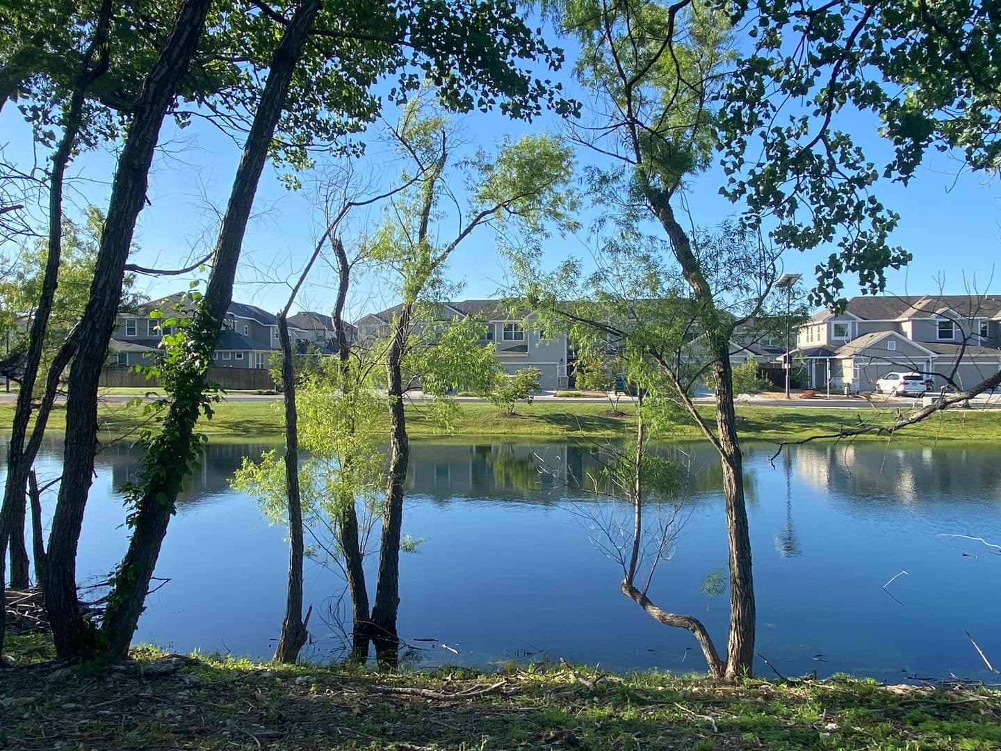 Annette - 351 Madison Oaks Dr GTX 17 of 36