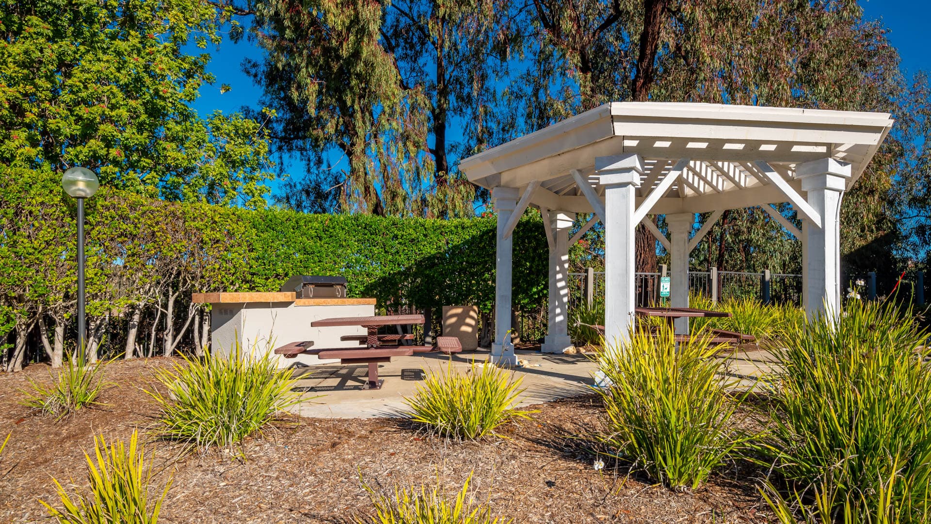 Montierra Apartments 25 of 27