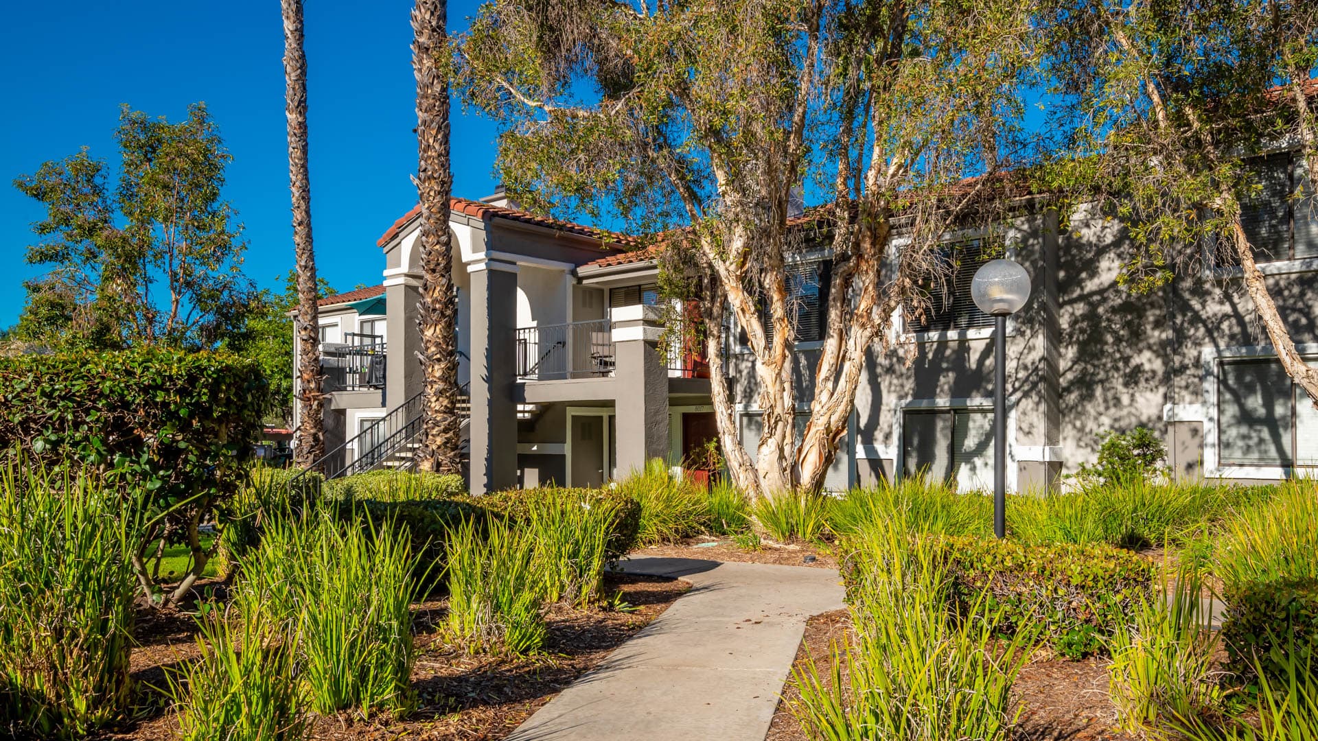 Montierra Apartments 2 of 8