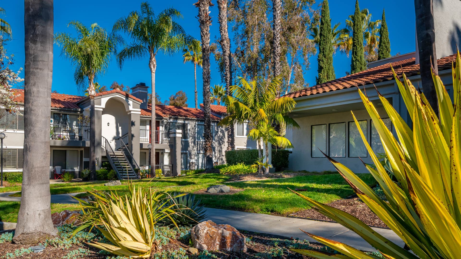 Montierra Apartments 3 of 8
