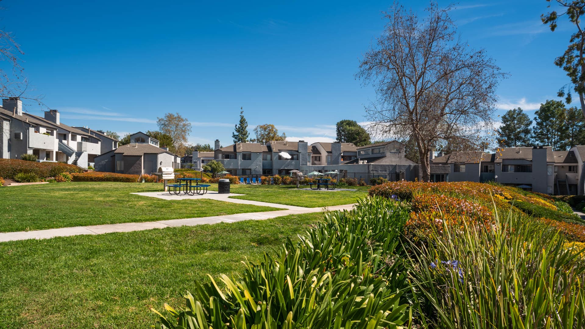 Villa Solana Apartments 26 of 28