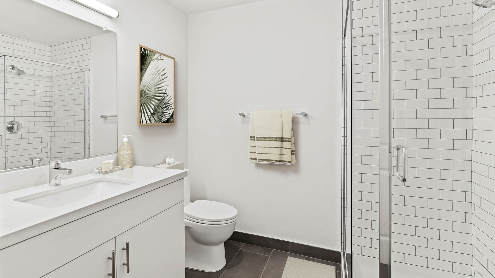 Lorien Ivy Apartments 9 of 12