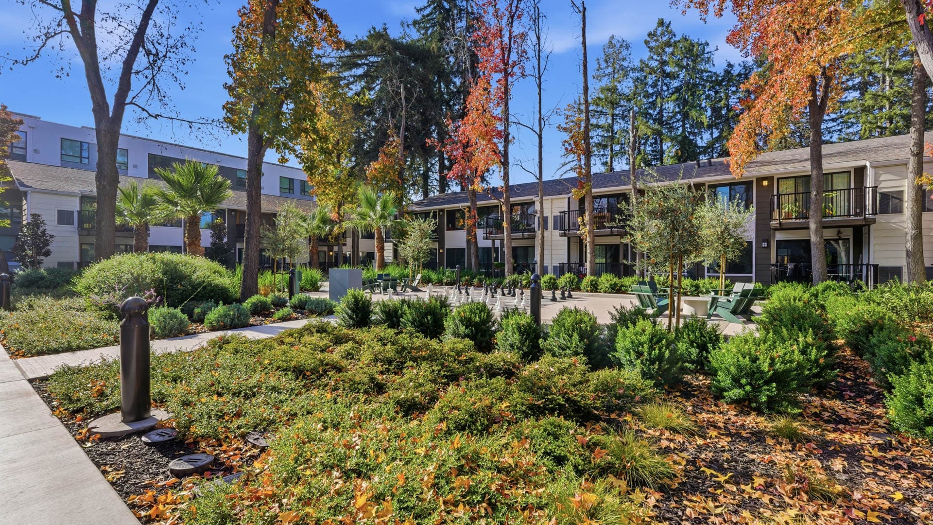 Lorien Ivy Apartments 32 of 114