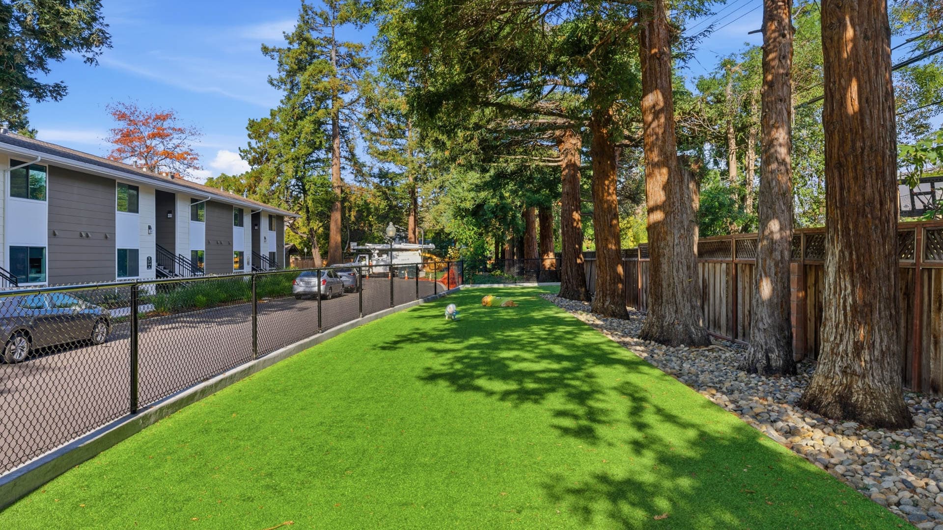 Lorien Ivy Apartments 46 of 114