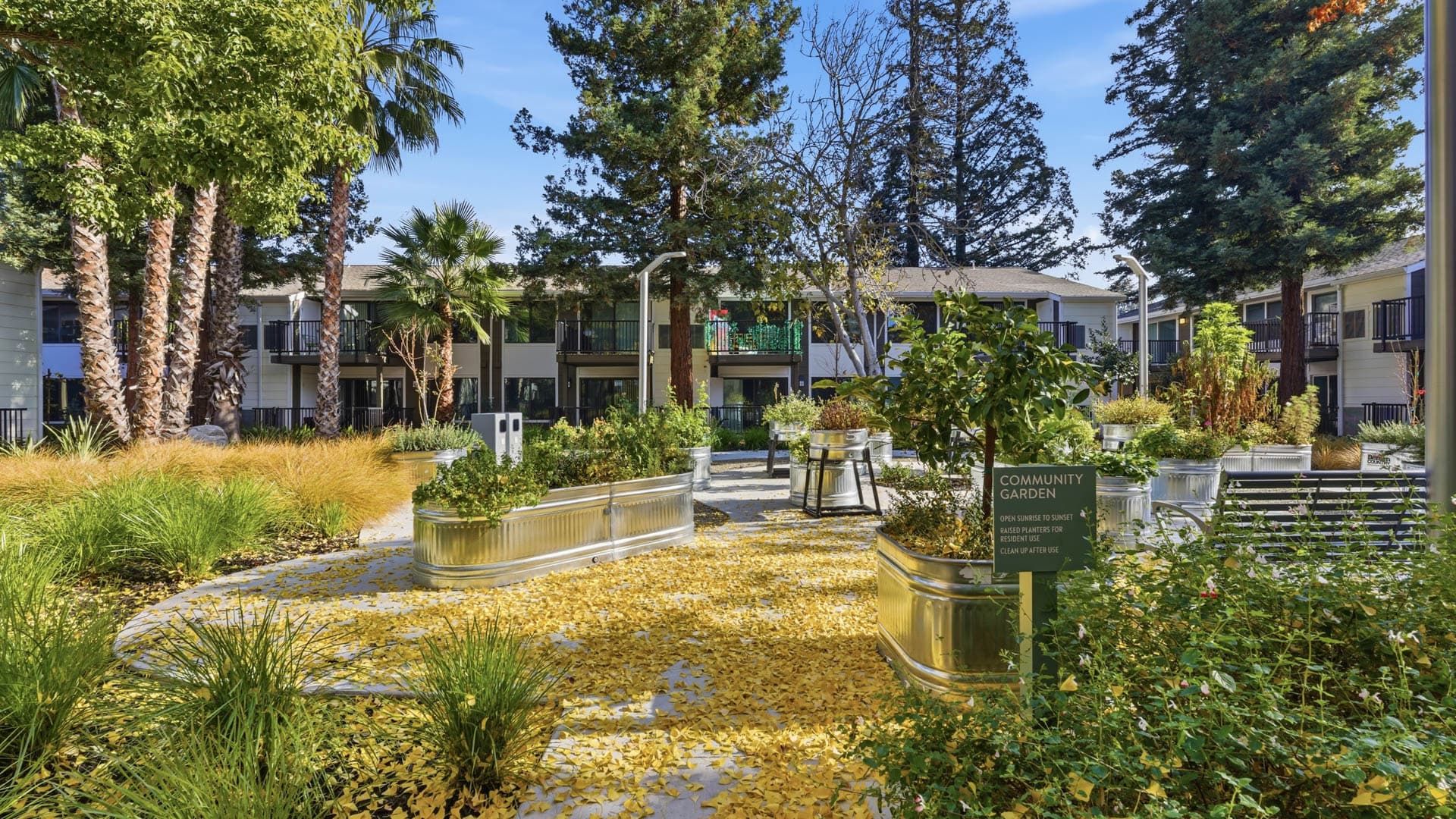 Lorien Ivy Apartments 38 of 114