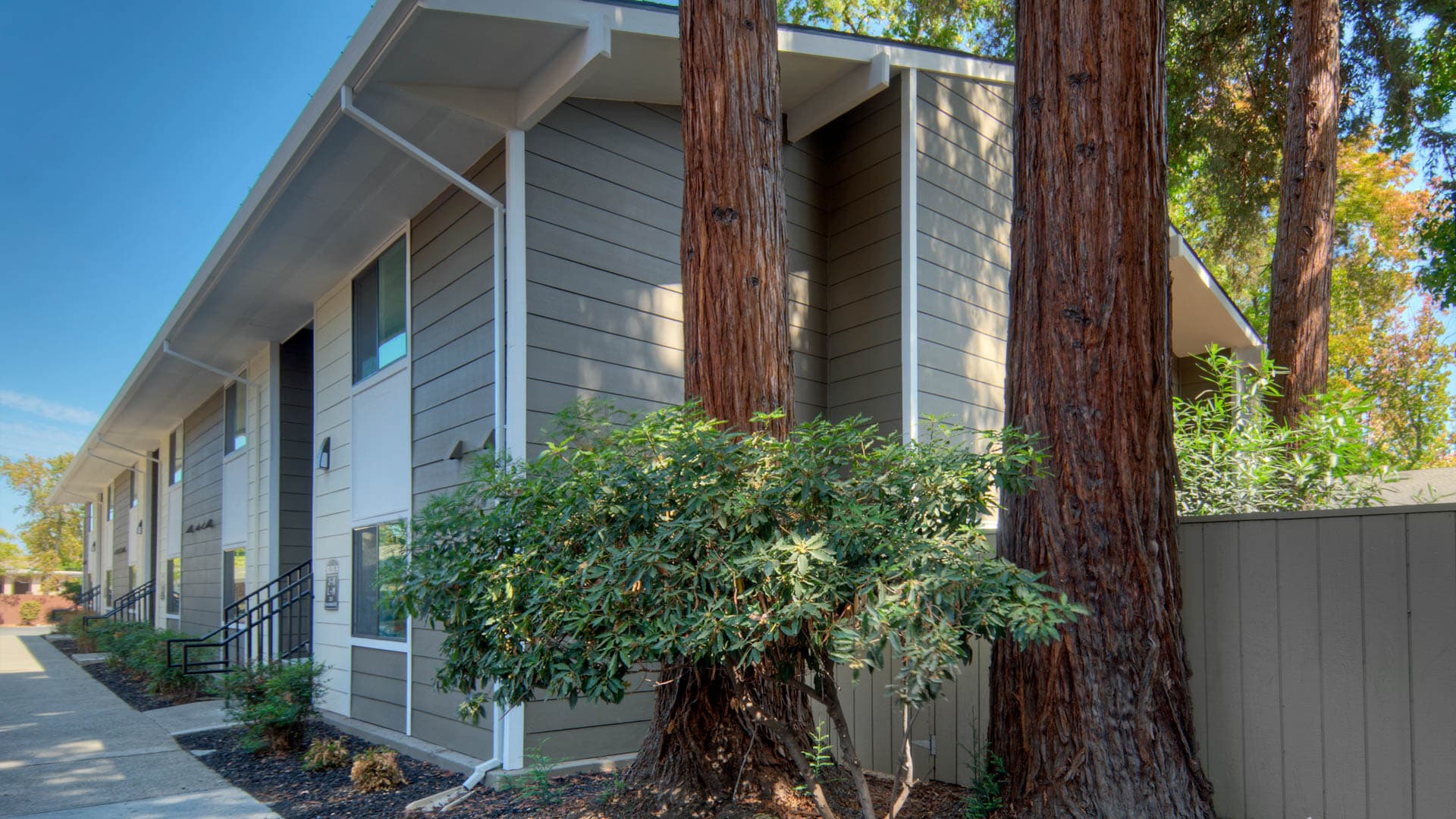 Lorien Ivy Apartments 1 of 114
