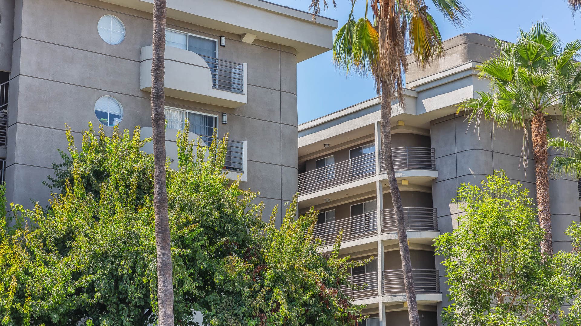 The Cleo Apartments 2 of 23
