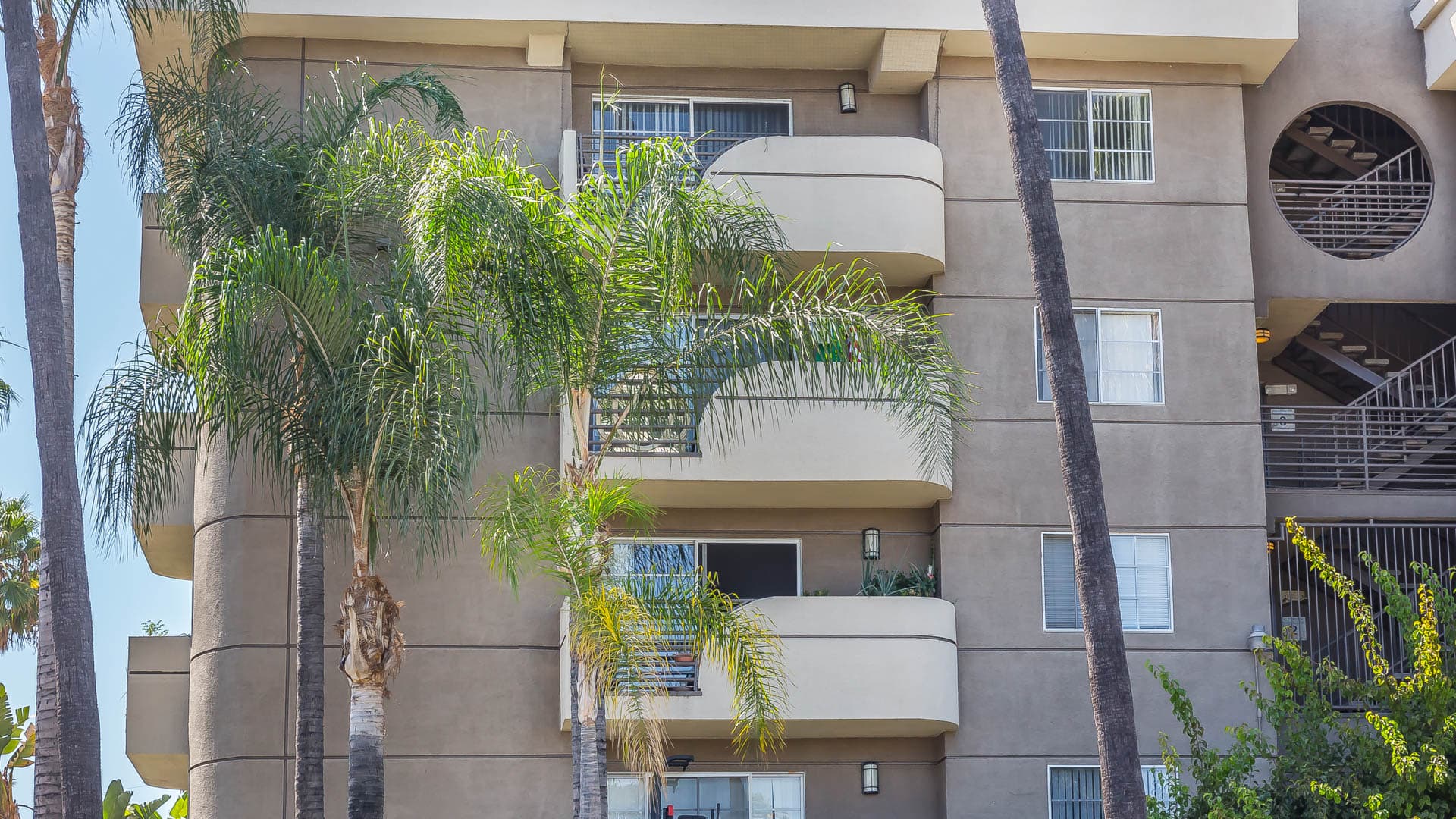 The Cleo Apartments 4 of 23
