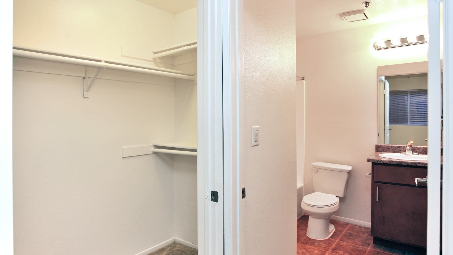 The Cleo Apartments 10 of 23