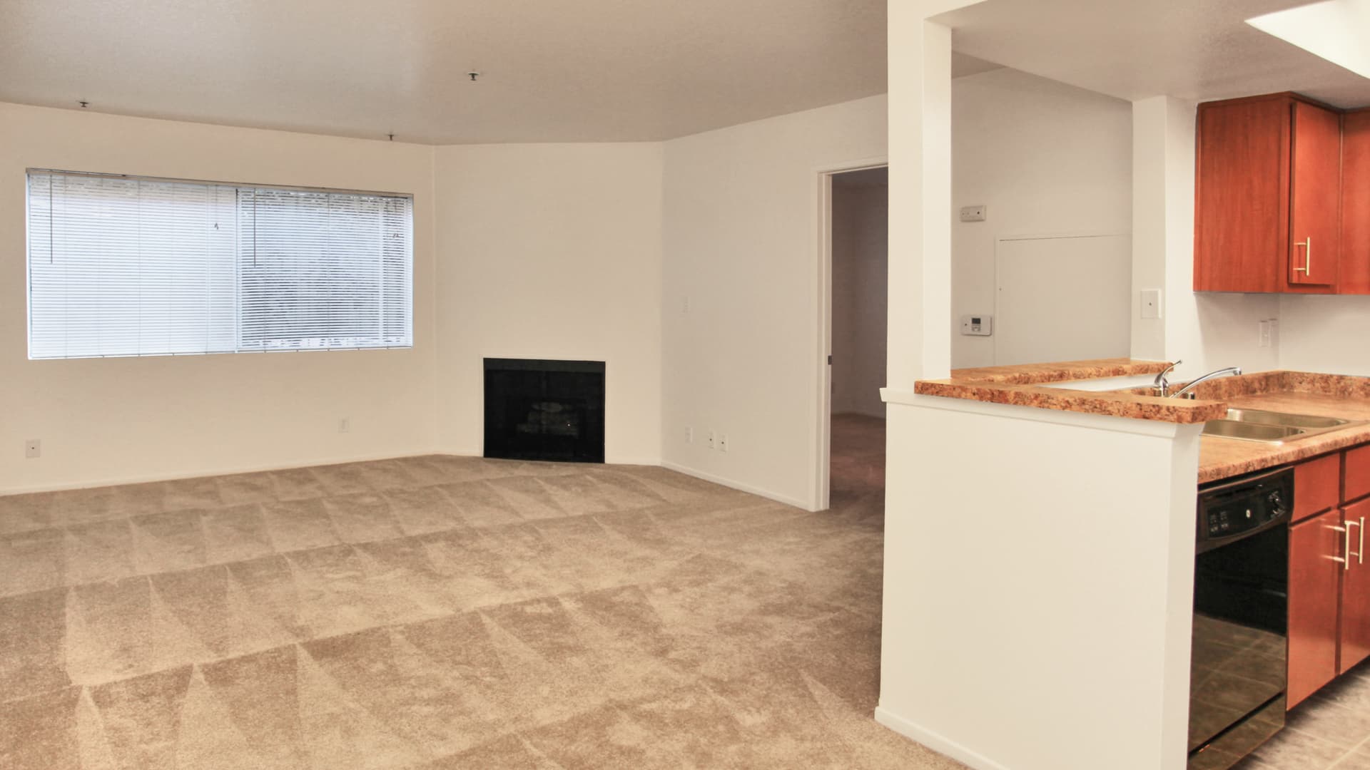 The Cleo Apartments 8 of 23