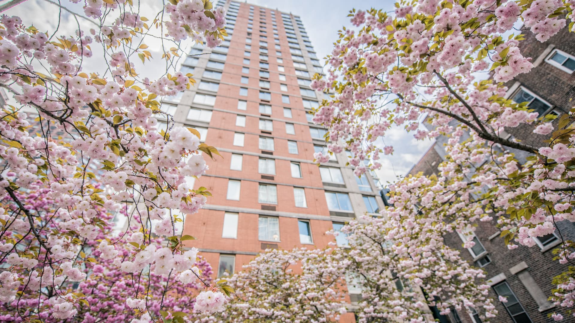 Longacre House Apartments 28 of 43