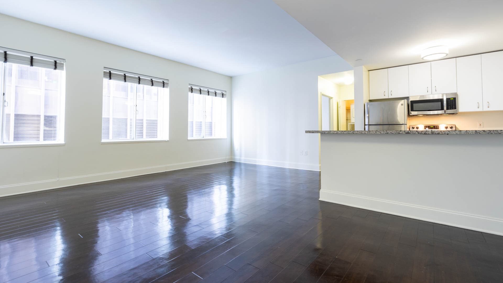 Pegasus Apartments 4 of 11