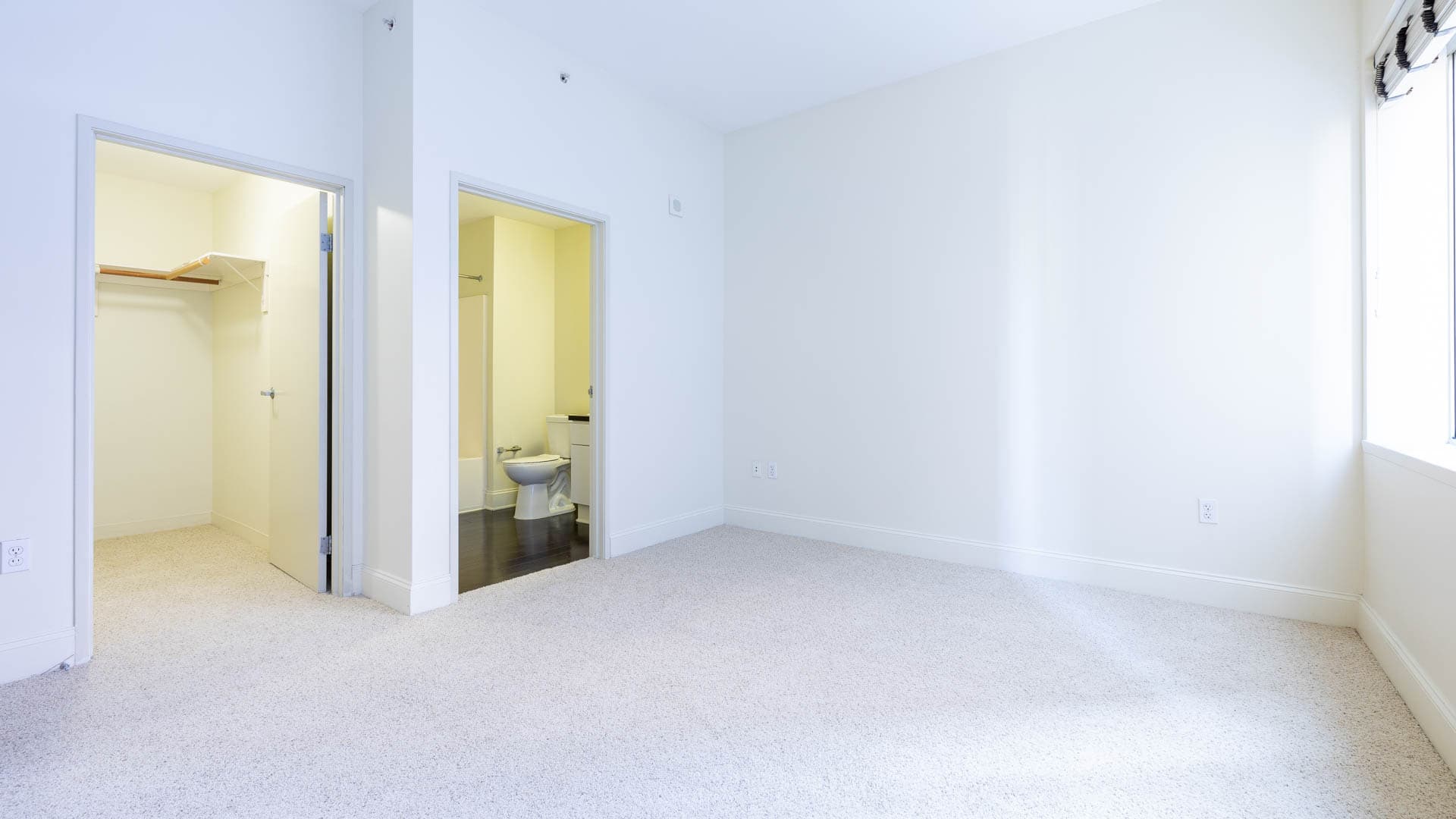 Pegasus Apartments 7 of 11