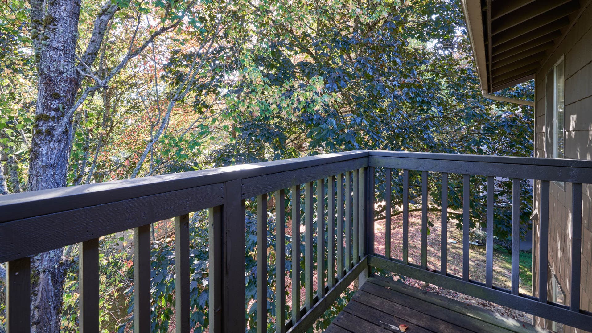Redmond Court Apartments 17 of 22