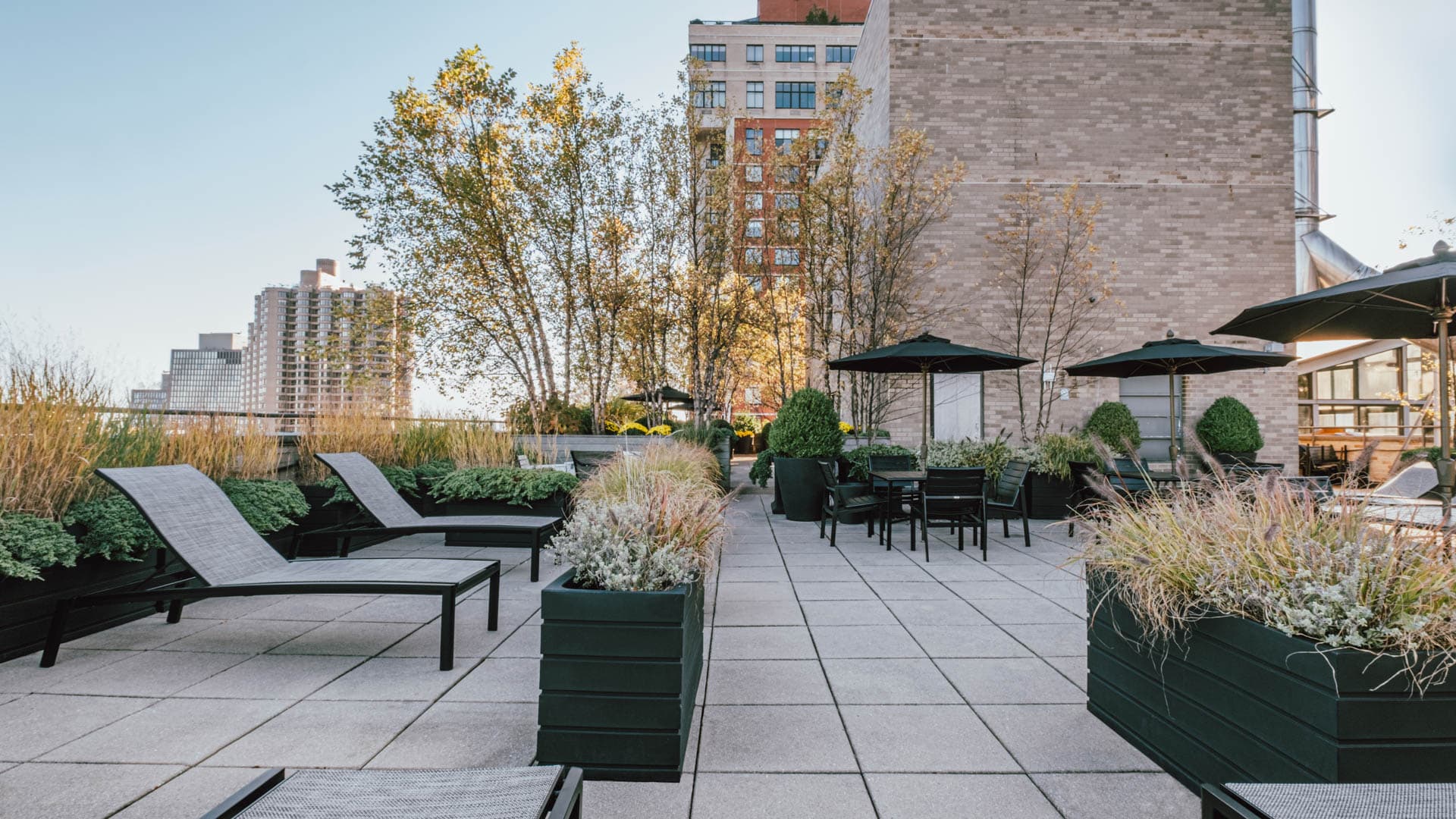 Murray Hill Tower Apartments 24 of 27